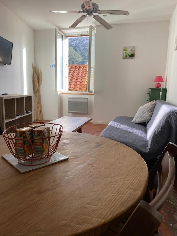La Tomette - Le Charme De L'Authentique Apartment Maury Bagian luar foto