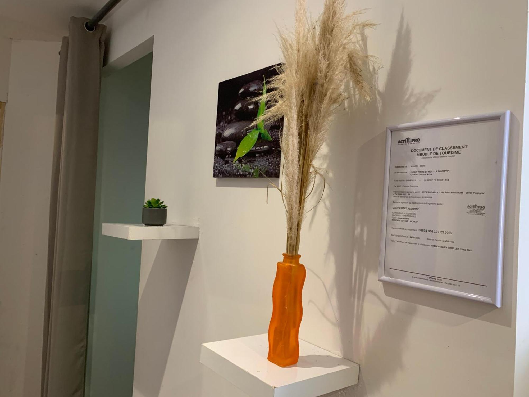 La Tomette - Le Charme De L'Authentique Apartment Maury Bagian luar foto